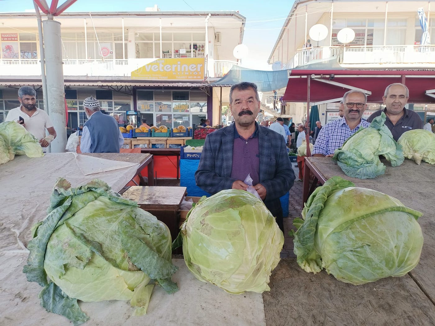Lahana 80 Liradan Tezgahlara İndi