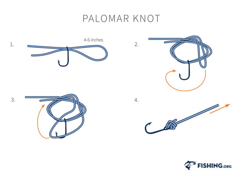 How to tie the fishing knot for the swivel (braided or