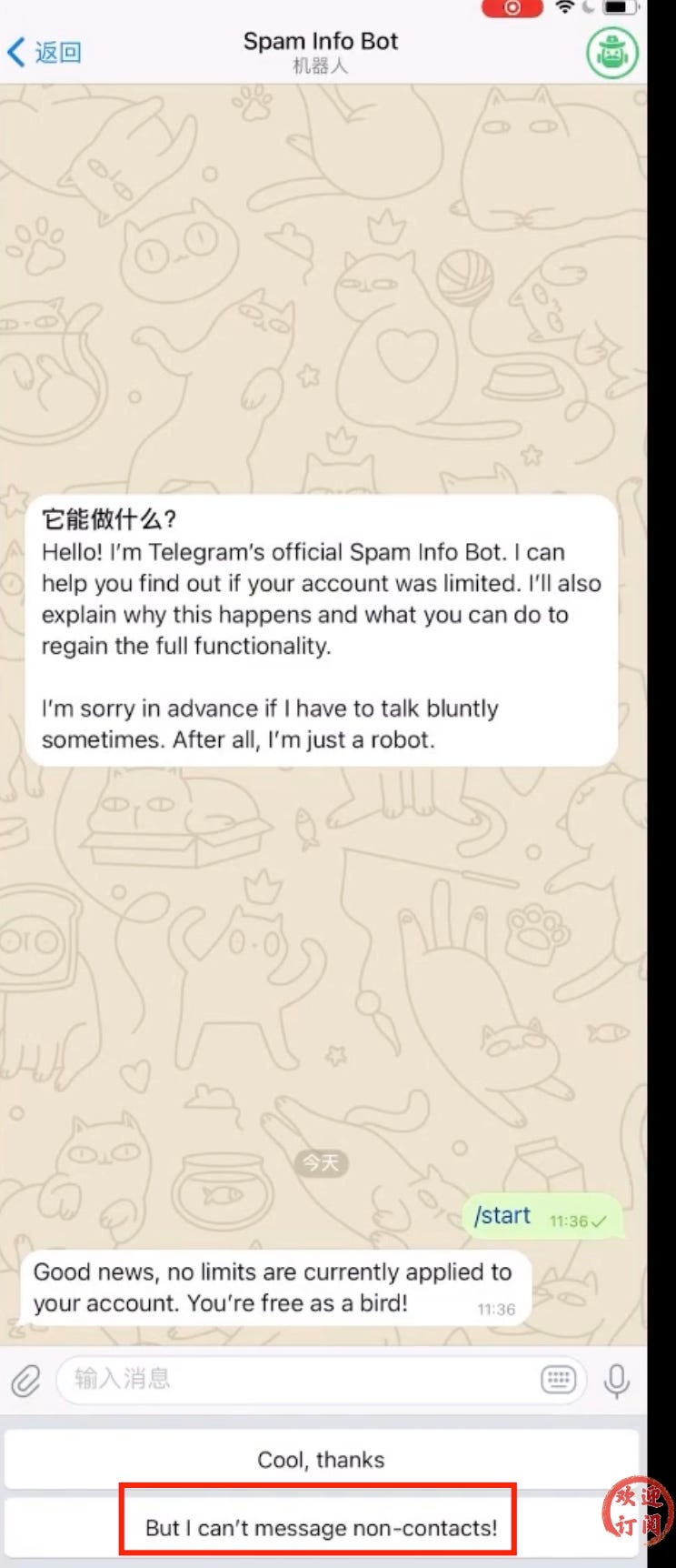 Telegram无法私聊怎么办？一分钟教你解除双向聊天限制，Telegram汉化教程- Tang - Medium