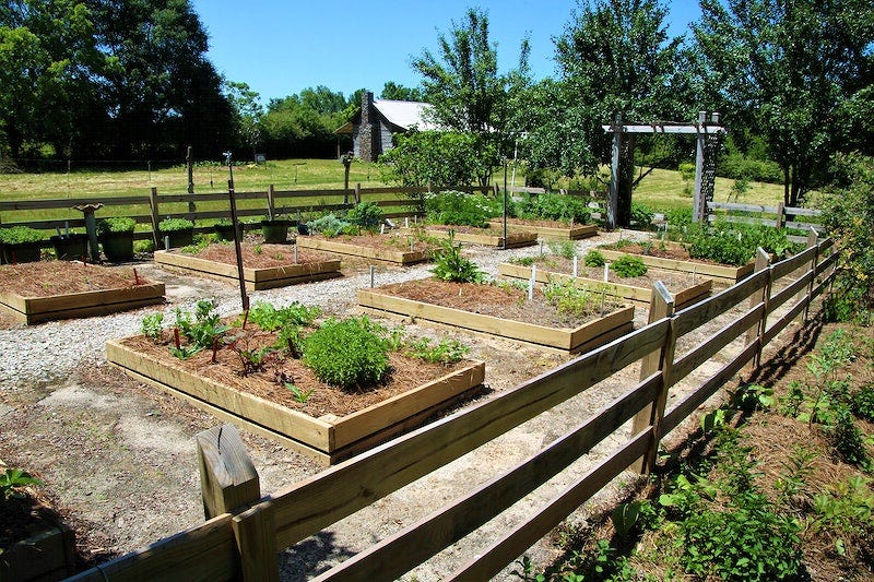 Selecting the Right Plants for⁣ Your Water-Efficient Garden