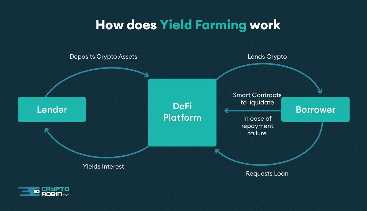 What is AMM, Liquidity pools, Yield farming and Impermanent loss? | by  Midas.Investments News | Medium
