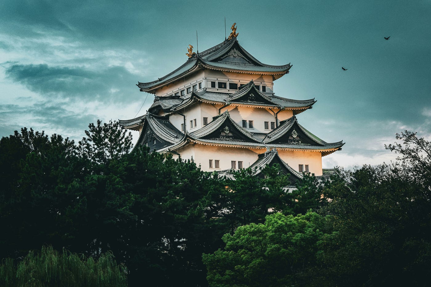5 Reasons Why You Should Visit Nagoya | by Justsomethingg | Japonica  Publication | Medium
