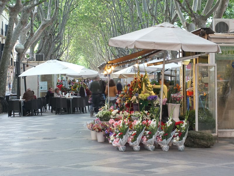 Impressions of Palma. The shady, tree-lined boulevard La… | by Prime  Passages | Prime Passages | Medium