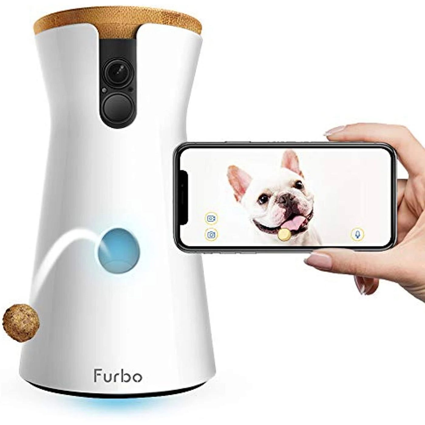 Honest & Helpful Reviews for Furbo Dog Camera — Curated by Rosi | by Rosi  Reviews | Medium