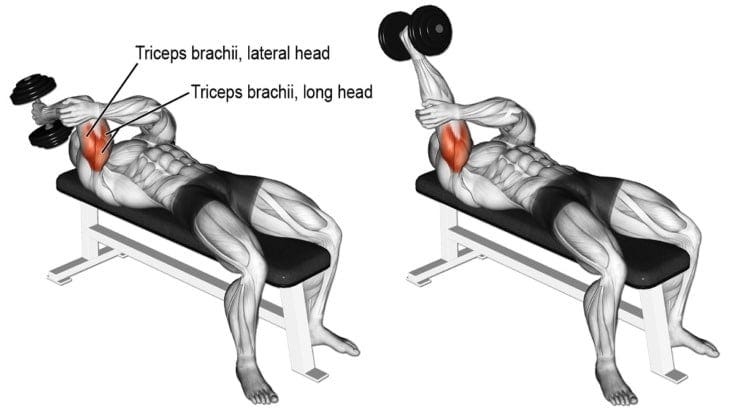 5 Best Tricep Kickback Alternatives by FIT LIFE REGIME Medium