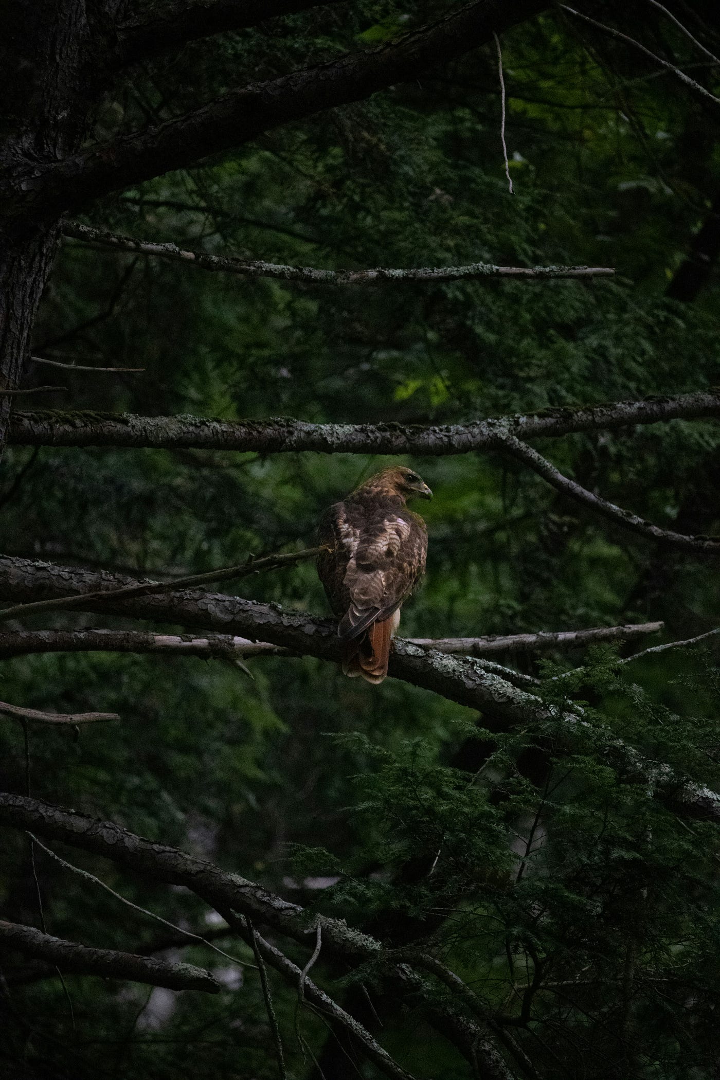 Photo by Marcus on Unsplash