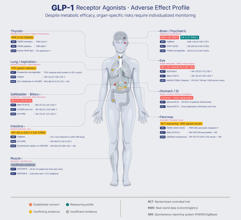 glp 1 stocks A Knife Through Hot Butter: The Rise of GLP-1s through the Eyes of  Intuitive Surgical
