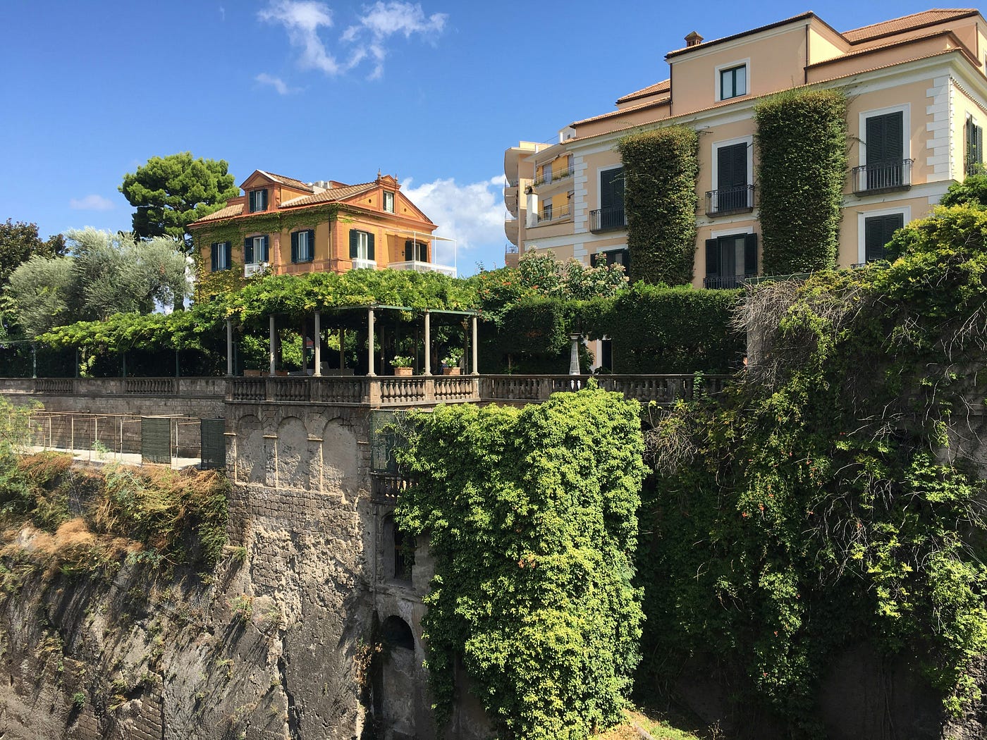 Photo by Mofeda Dababo on Unsplash