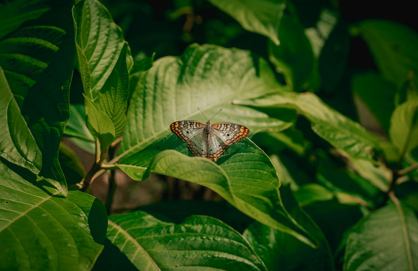 Photo by Mike Cox on Unsplash