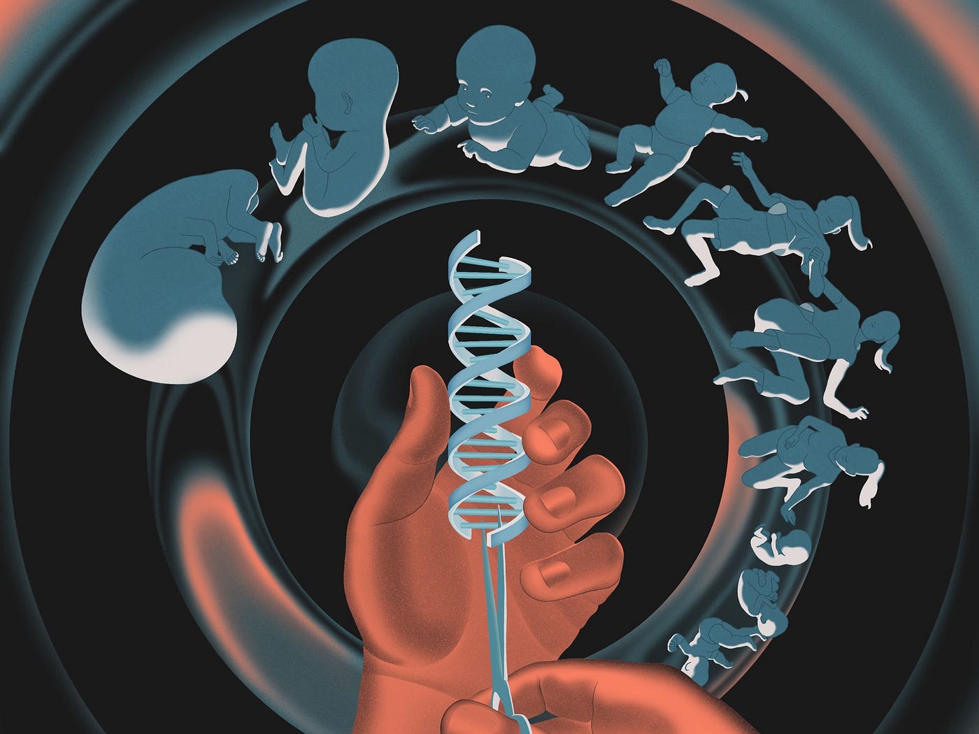 What are the Social and Biological risks of CRISPR in Human embryos