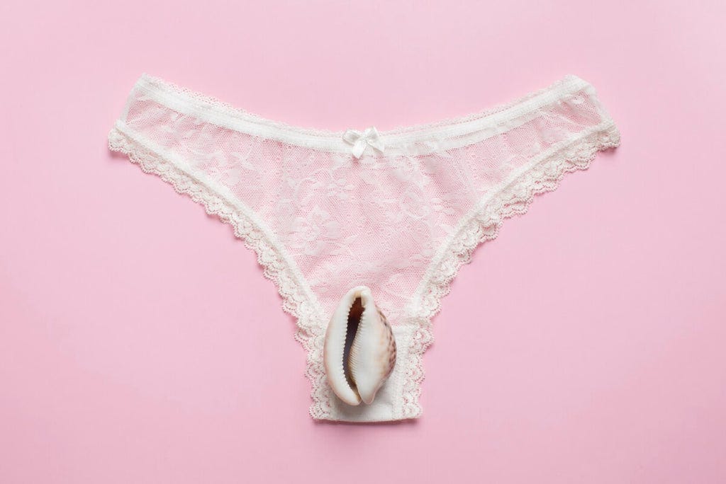 Why Women's Panties Have a Crotch Pocket: Unveiling the Secrets of the  Gusset | by Lucy Guo | Dec, 2023 | Medium