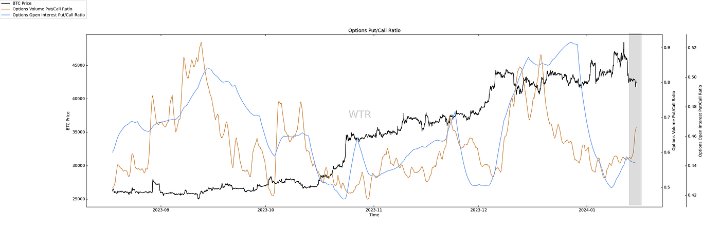 灼灼韶华,风禾尽起｜WTR 1.15