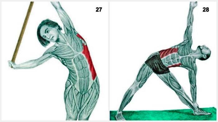 36 Pictures To See Which Muscle You're Stretching - LifeHack