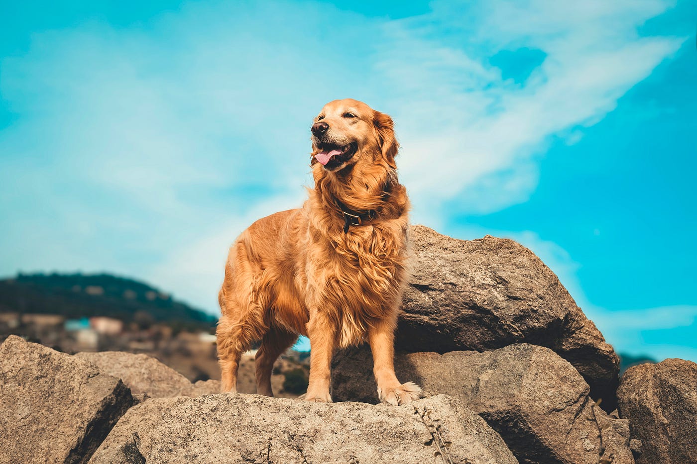 Photo by Enis Yavuz on Unsplash