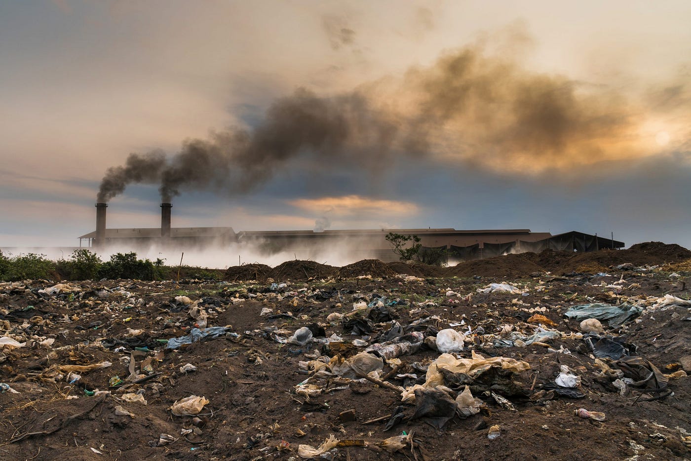 When Bankruptcy Meets Environmental Law