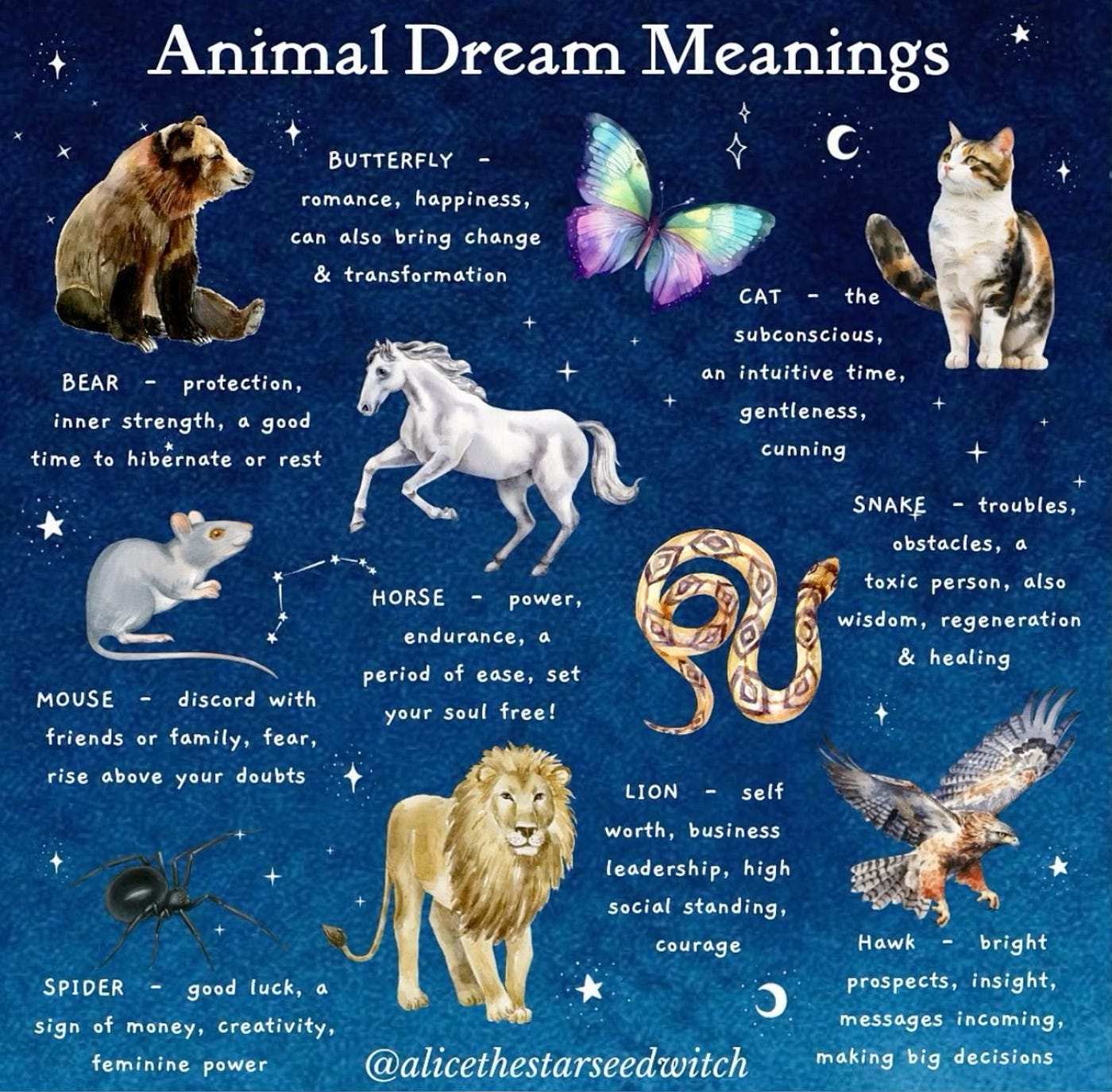 Dreams — A Poem