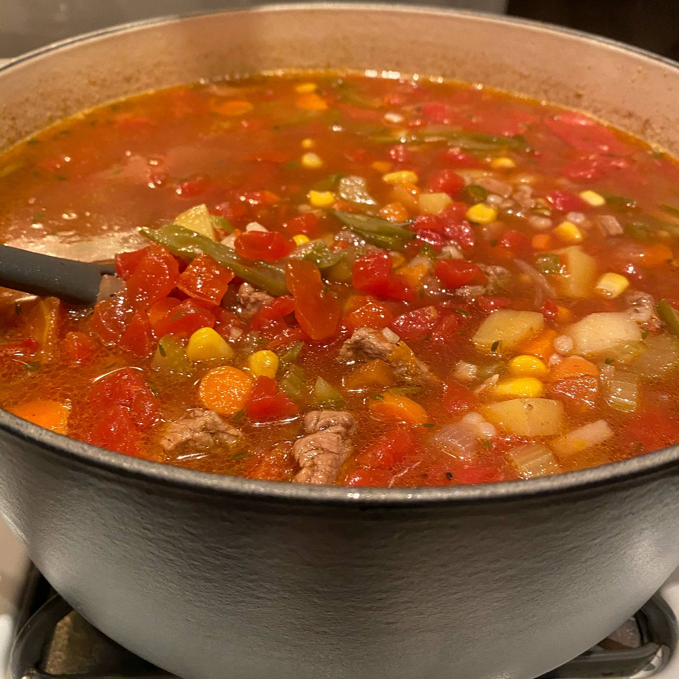 Is soup bad for dogs cheap
