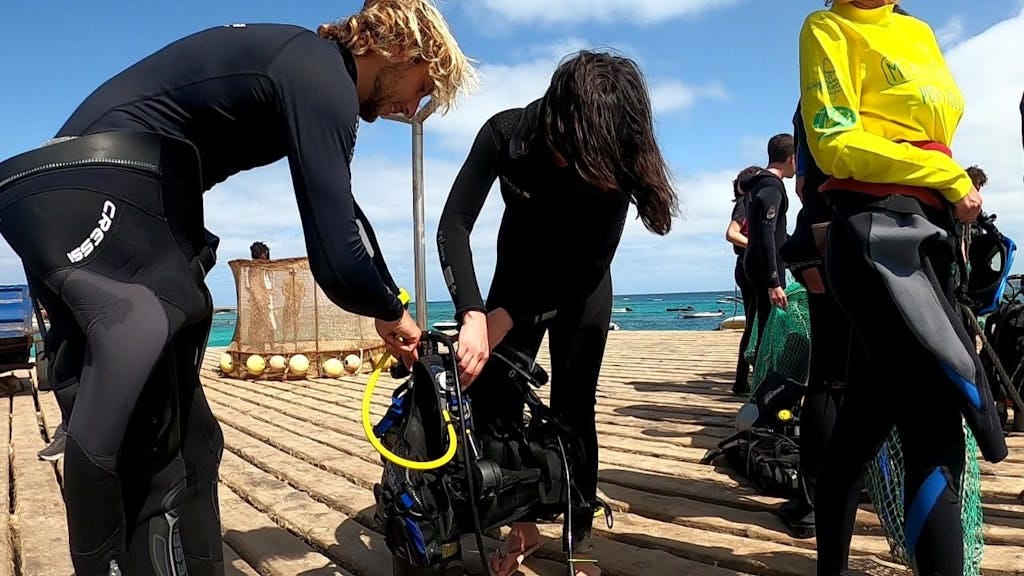 scuba diving gear set up