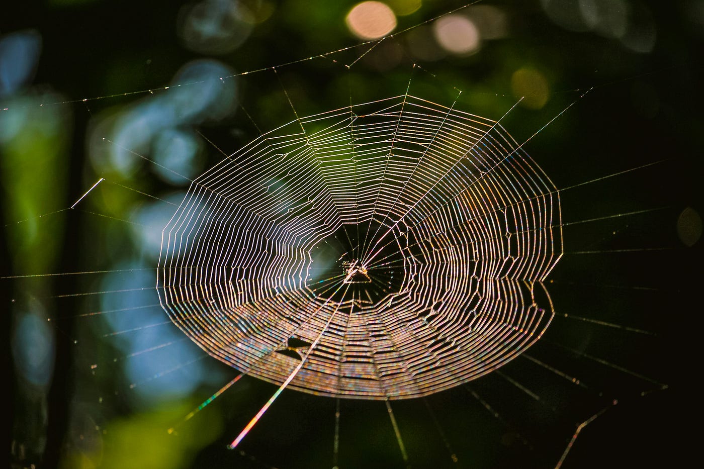 Pink Spider. The Web We Weave | by Kevin Smith | Riff and Ritual