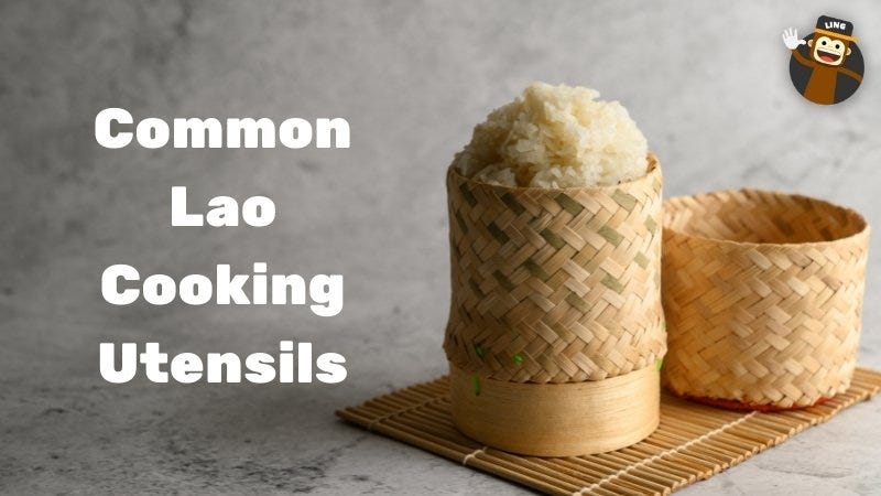 Ultimate Guide to Choosing a Sticky Rice Steamer - Thai & Lao Food