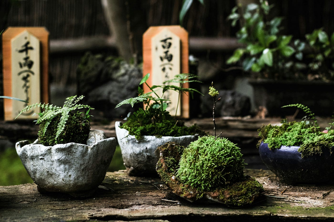 Haiku, Wabi-Sabi, and Kimono: Japanese Minimalism in Poetry and Craft | by  Mai Yamamoto | Mai Yamamoto Boutique | Medium