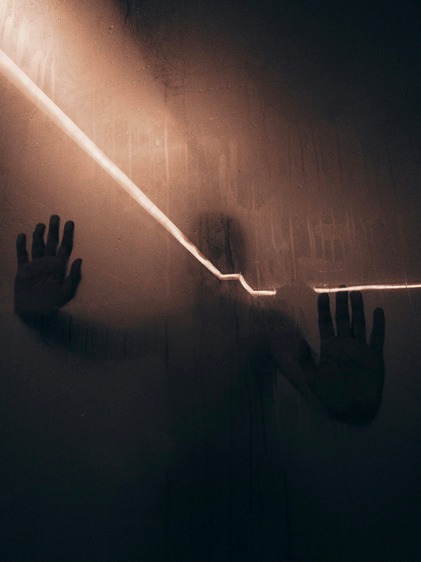 Photo by ammar sabaa on Unsplash