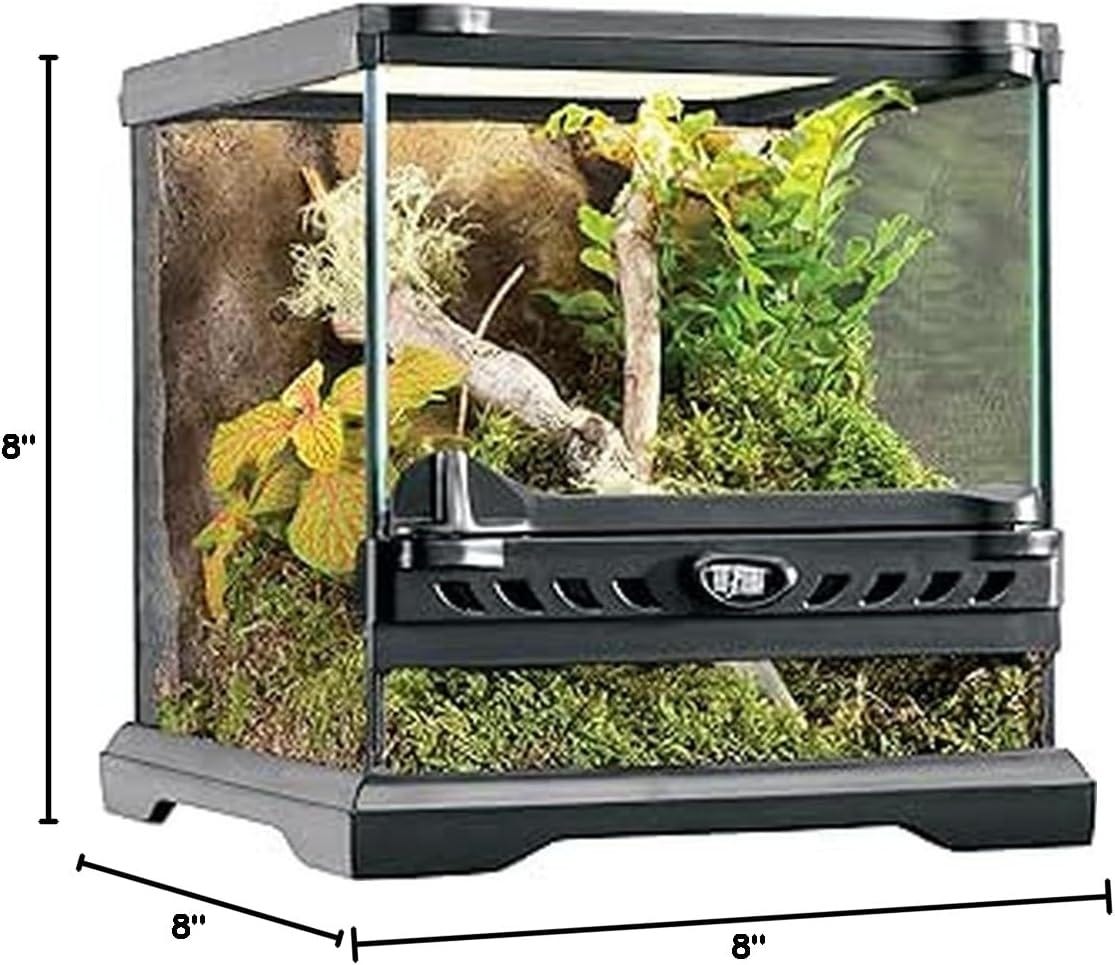 Exo Terra Glass Terrarium Review: Perfect for Tiny Reptiles | by