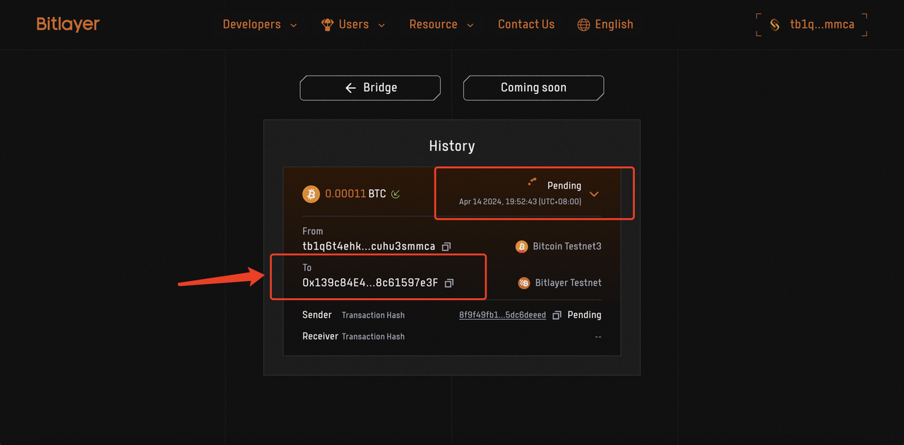 Bitlayer Official Bridge Cross-Chain (Bridge-In) Tutorial | by Bitlayer |  Medium