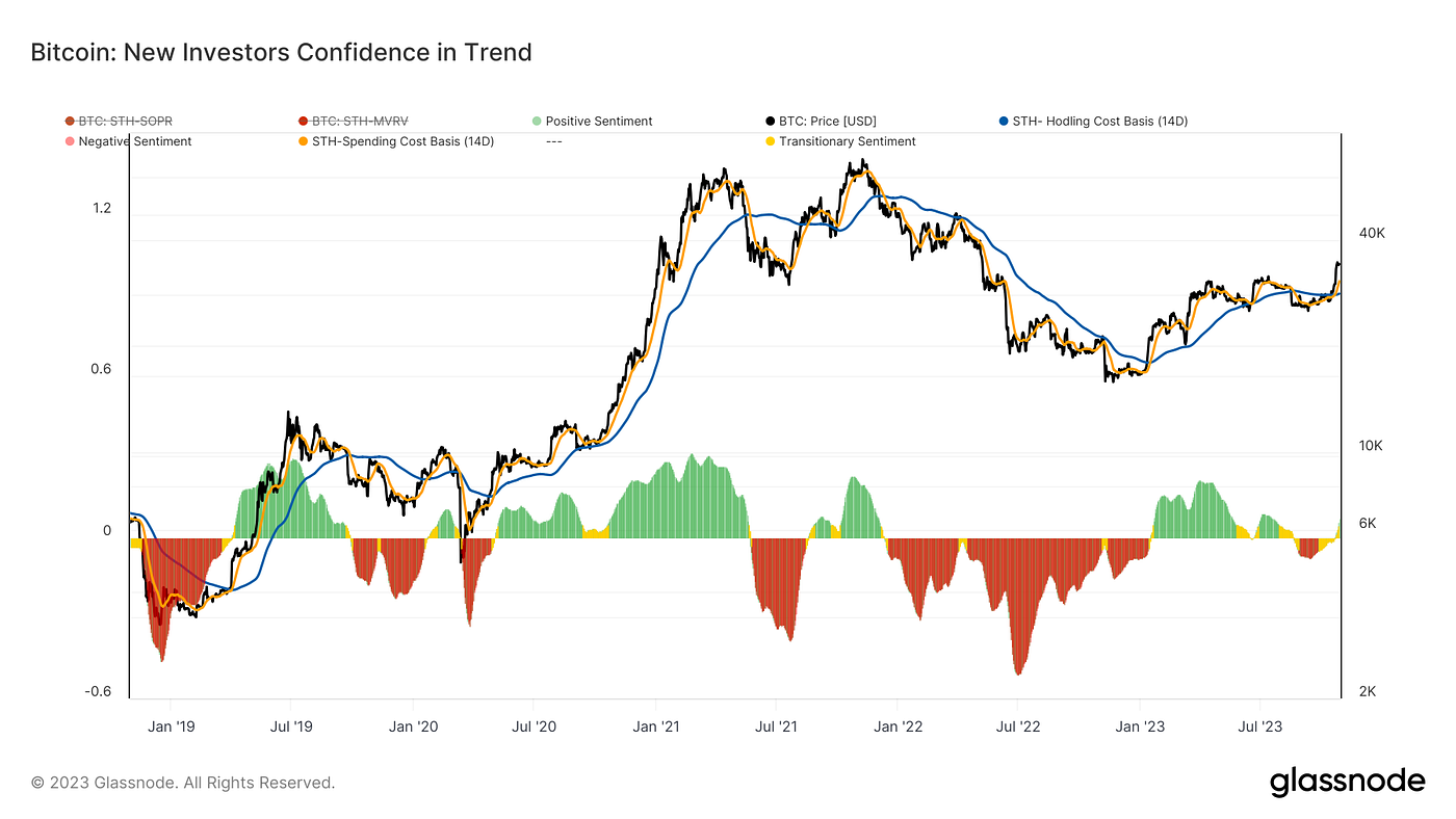 拨雪寻春，烧灯续昼｜WTR 10.30