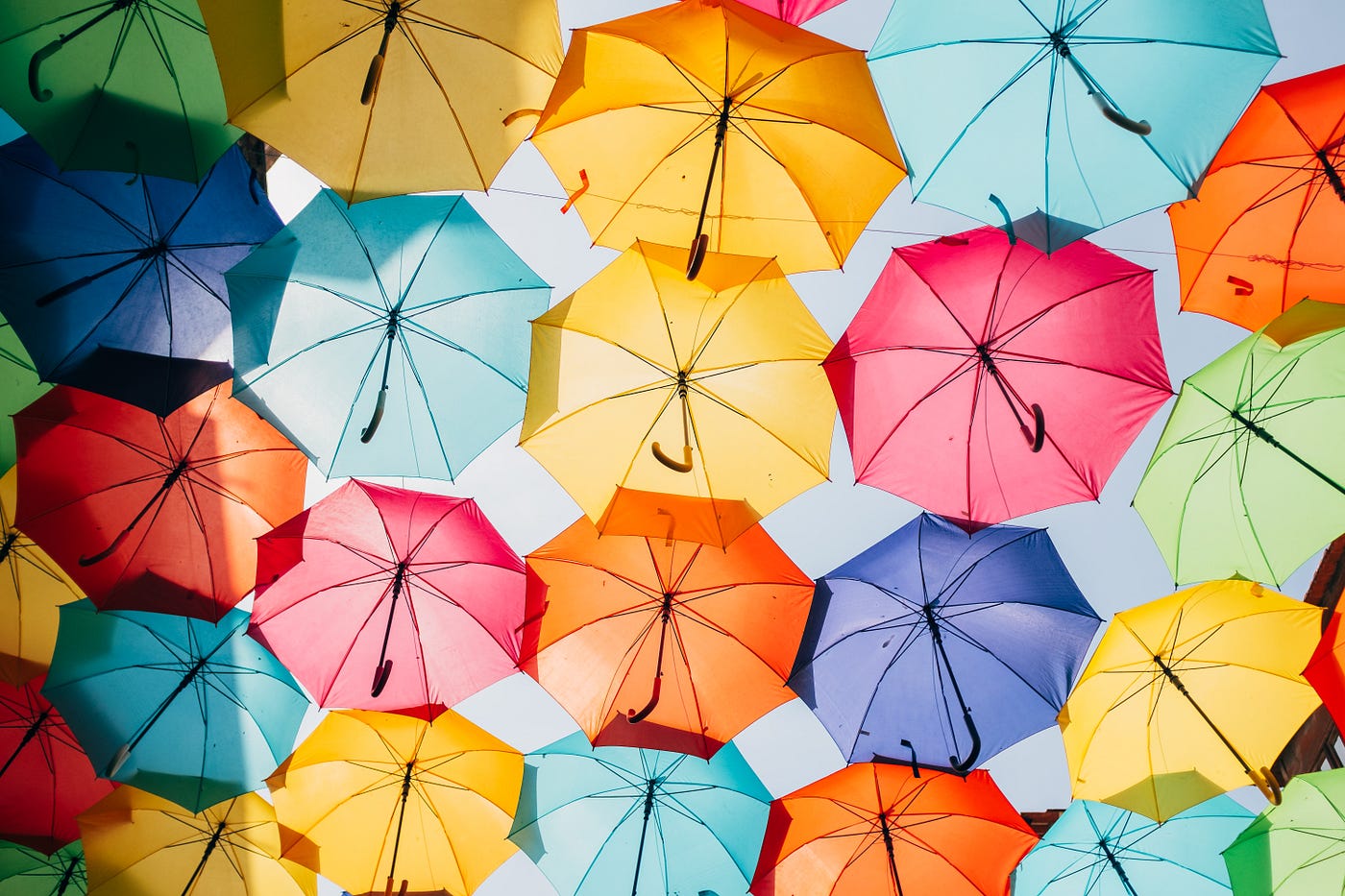 The Bisexual Umbrella. The term “bisexual umbrella” has been… | by Lindsay  Betros | Medium