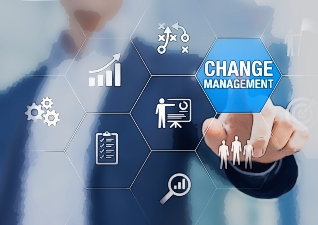 Strategies for Effective Organizational Transformation | Blue Peak  Strategies | Medium