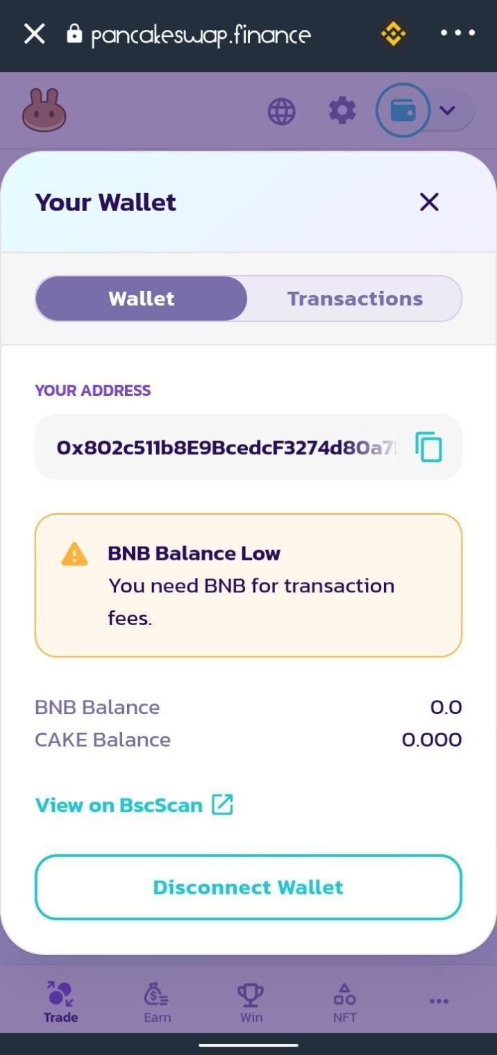 How to Connect Trust Wallet to Binance Smart Chain and Interact With dApps  | by The Coin Times | Medium