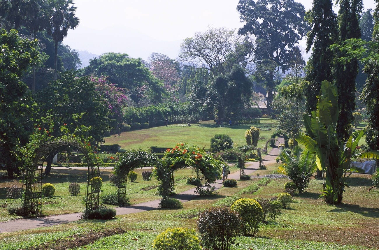 Emerging Trends in Sri Lanka: A Glimpse into the Nation’s Evolving Landscape