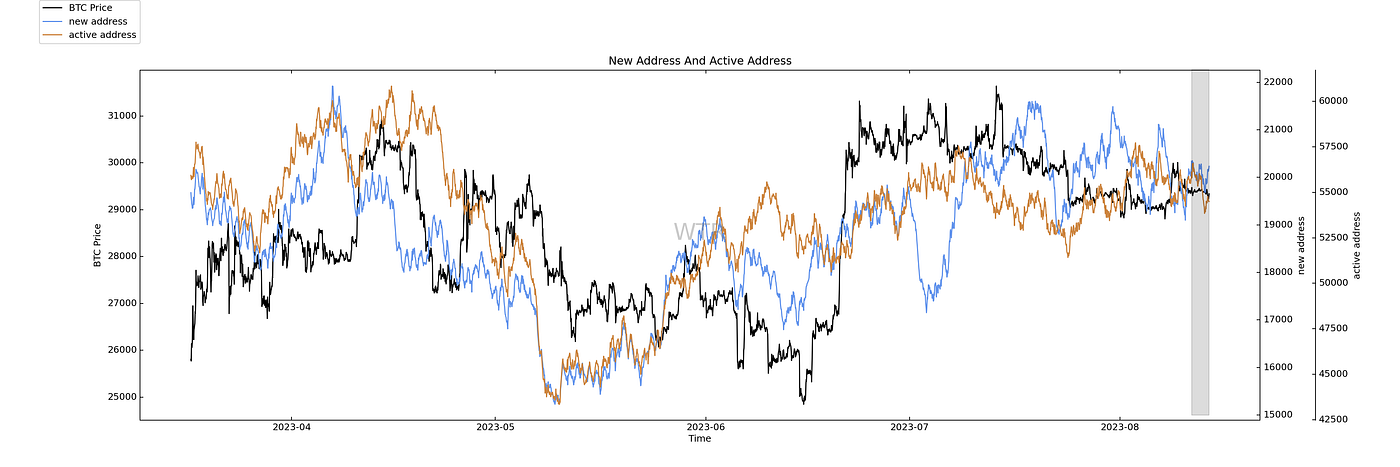 苍山负雪，明烛天南｜WTR 8.14