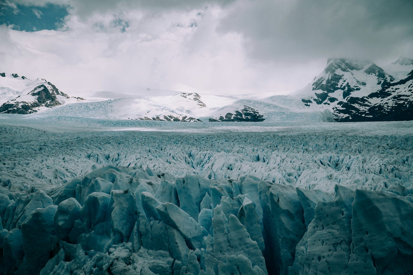 Photo by Martin Sanchez on Unsplash