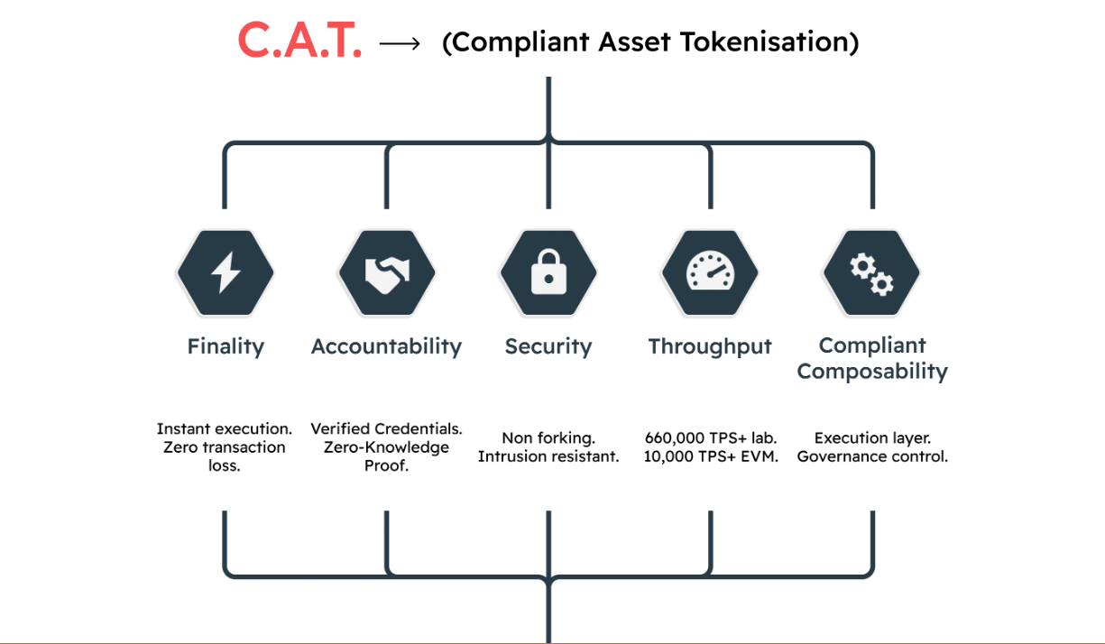 Aussie Innovators Join Forces to Tokenize $100T+ Assets with End to End  Solution for Tokenization | by Verida | Verida