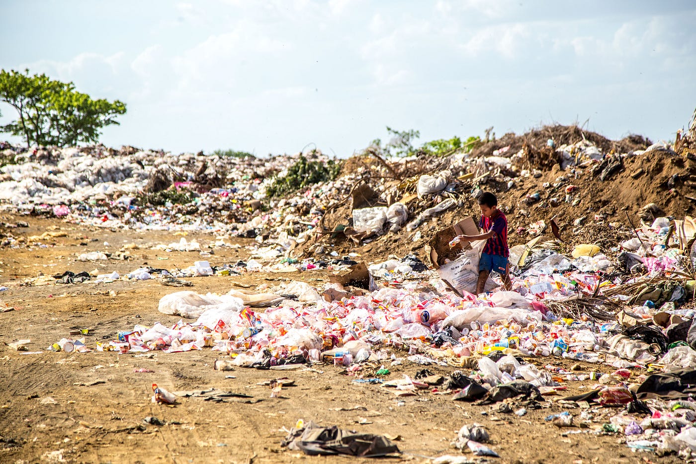 Women have adopted throwaway fashion and bin clothes after a few