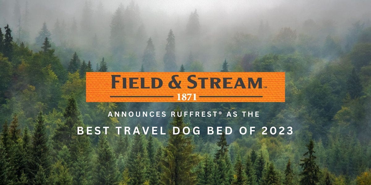 Best travel top dog bed