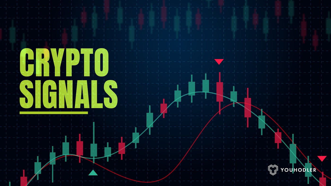 12 Best FREE Crypto Telegram Channels 2023 (Trading Signals) | Coinmonks