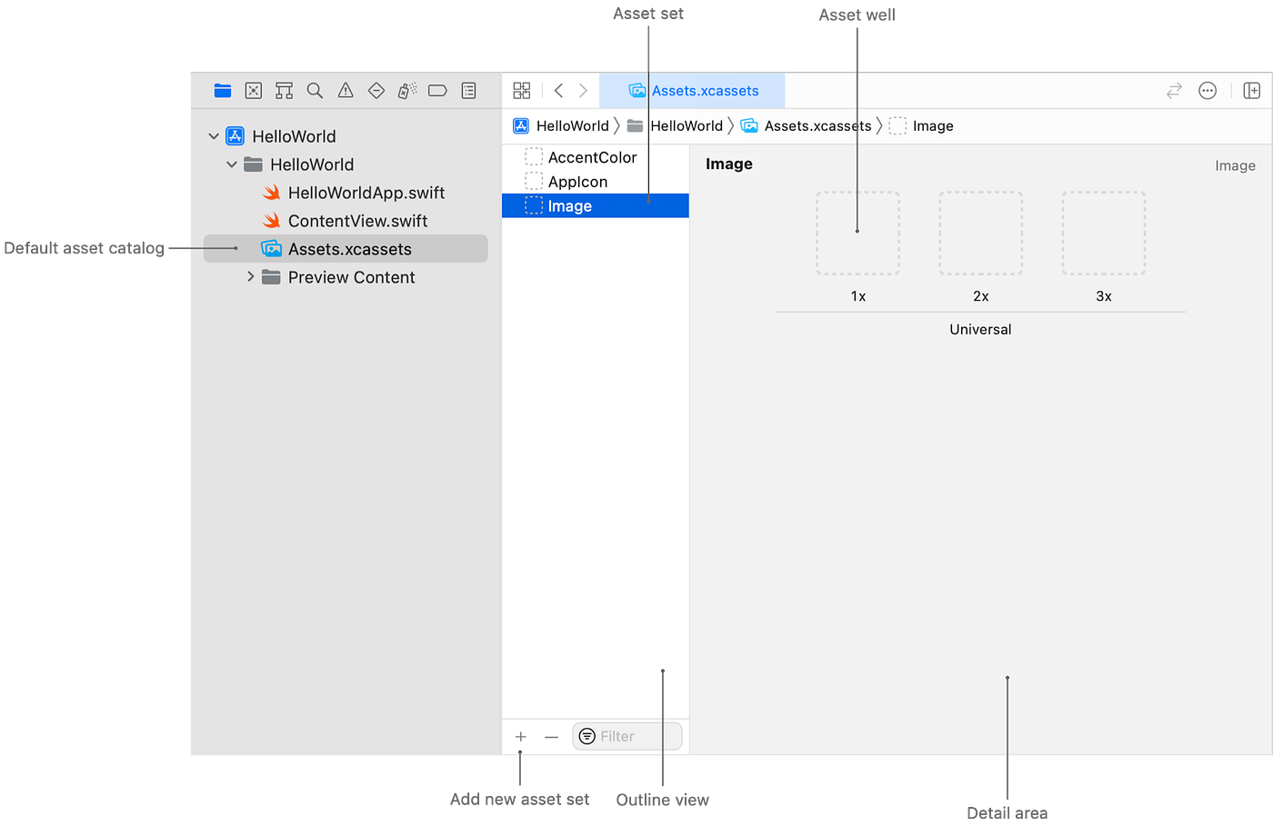 Asset Catalogs from XCode15