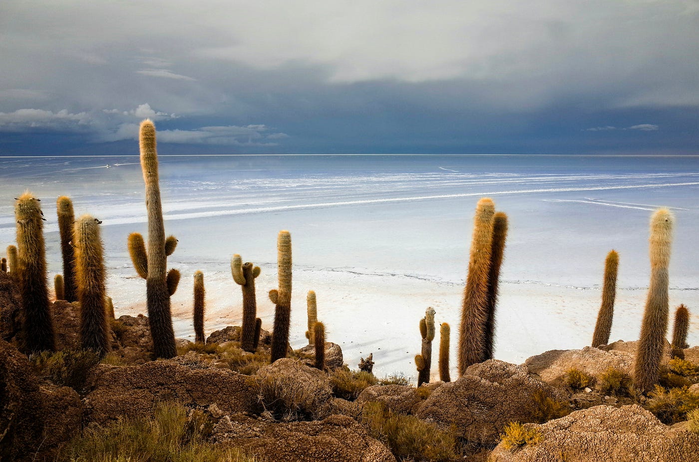 Photo by Pierre Ricadat on Unsplash