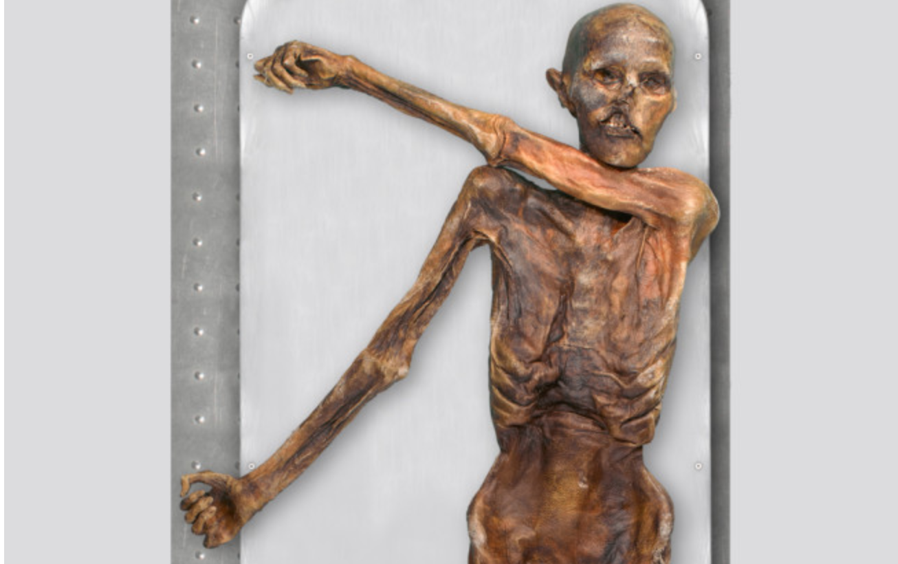 Ötzi The Iceman: A Very Cold Case | by Ross Carver-Carter | Medium
