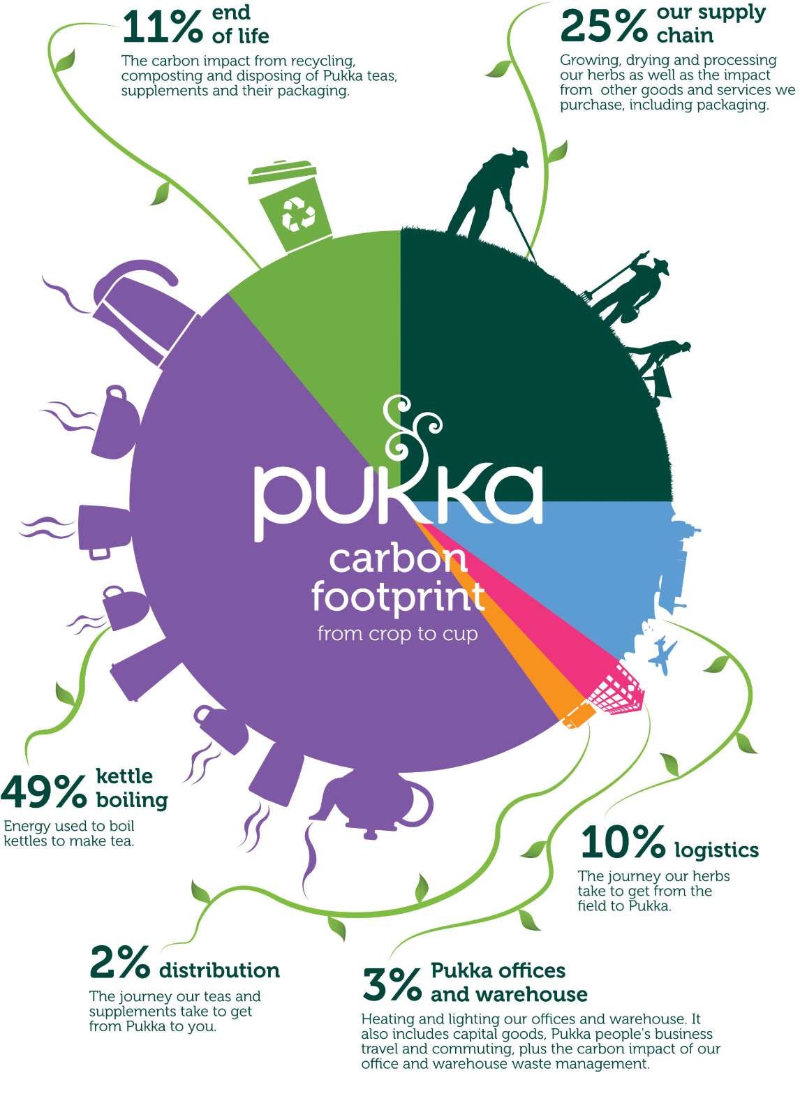 Measuring Carbon Footprints - Scope 1 Emissions explained. - Ecochain - LCA  software company