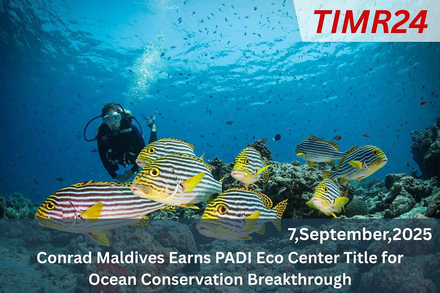 Conrad Maldives Earns PADI Eco Center Title For Ocean Conservation Breakthrough — Timr24.com