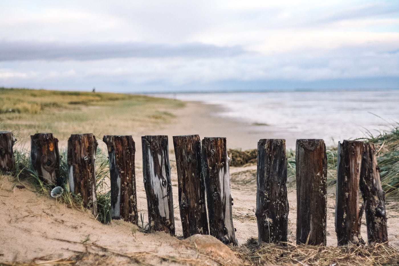 Photo by Blanka Novotná on Unsplash