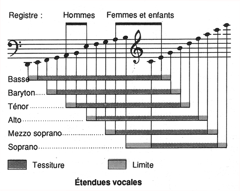 Physiologie permettant le chant. Chant et cognition humaine (1/2) | by  éléonore sas | Medium