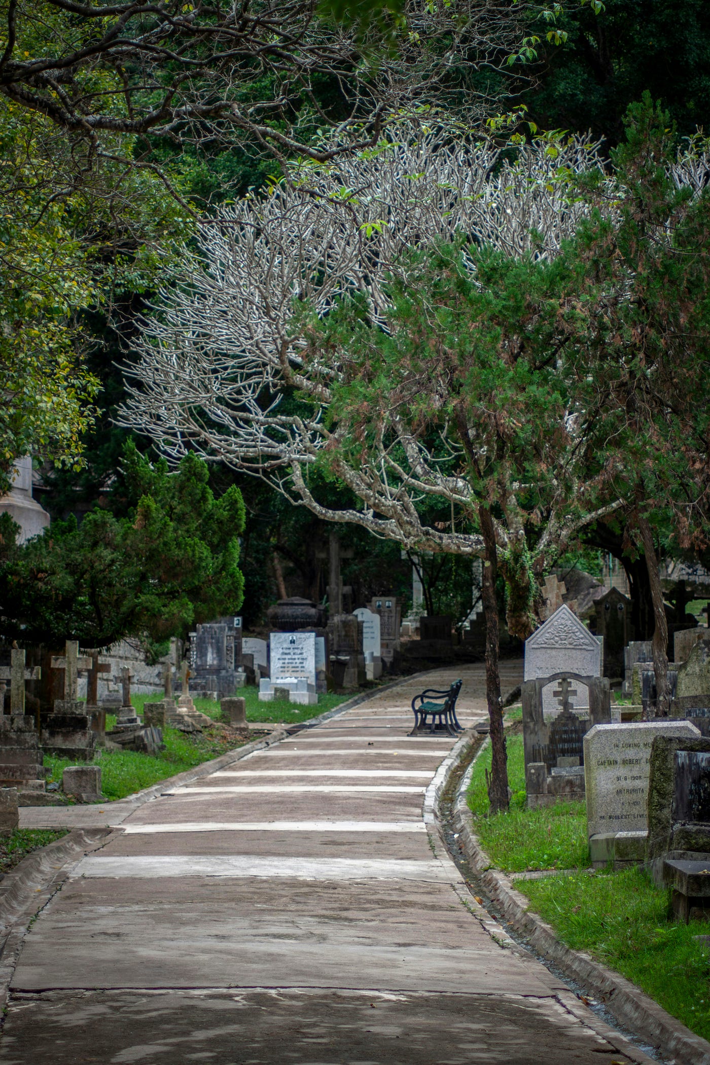 Photo by Jayde Keroi on Unsplash
