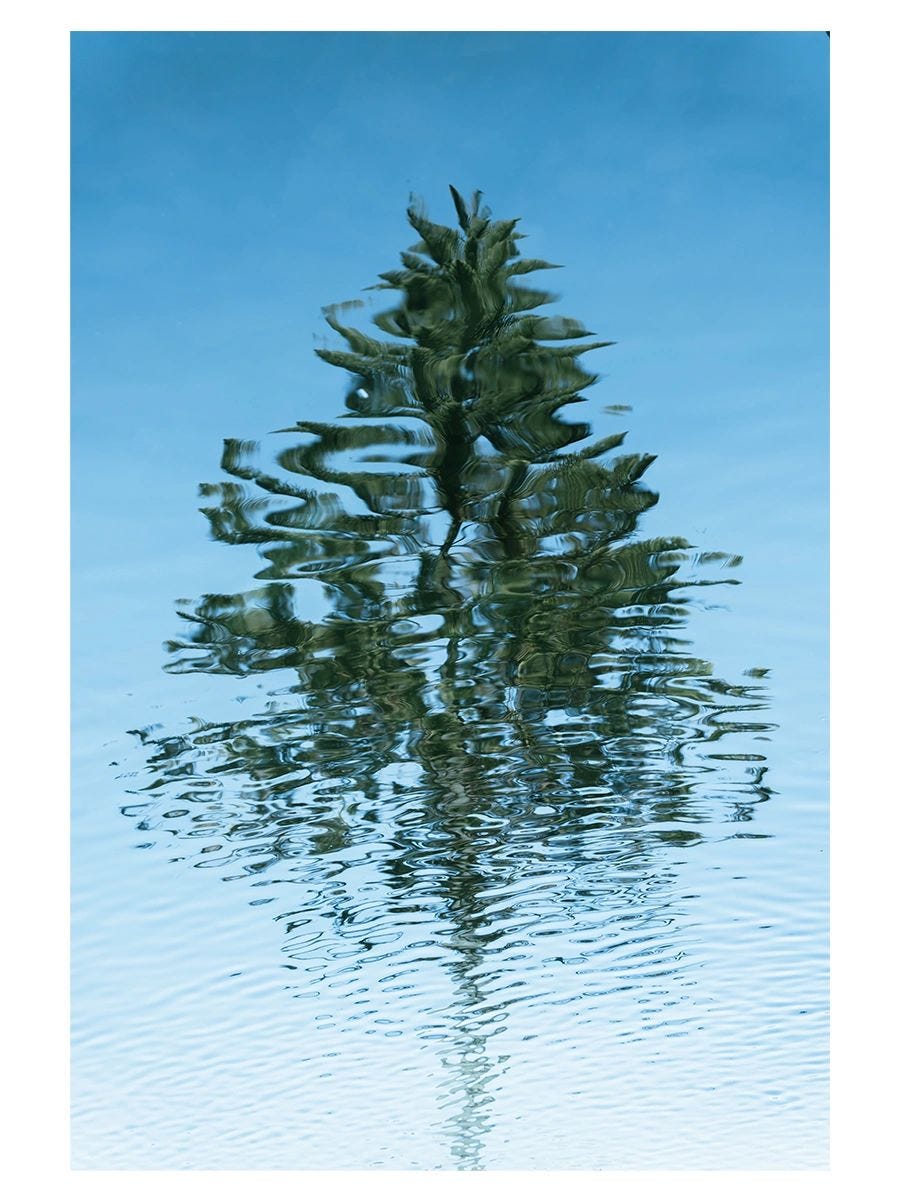 Incenzo believes that “Stillness” is the essential method for nurturing life and cultivating the Tao.