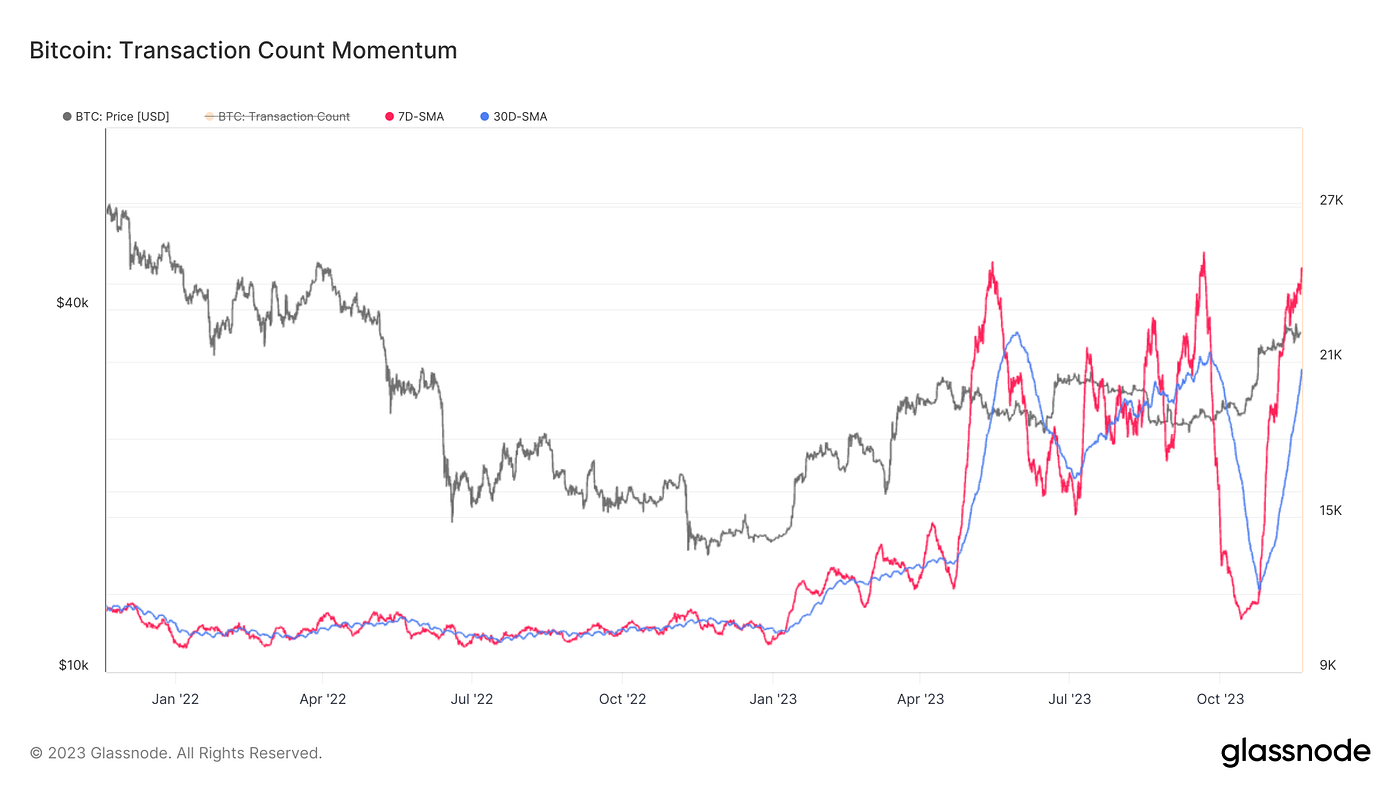 山窗初曙，透纸黎光｜WTR 11.20