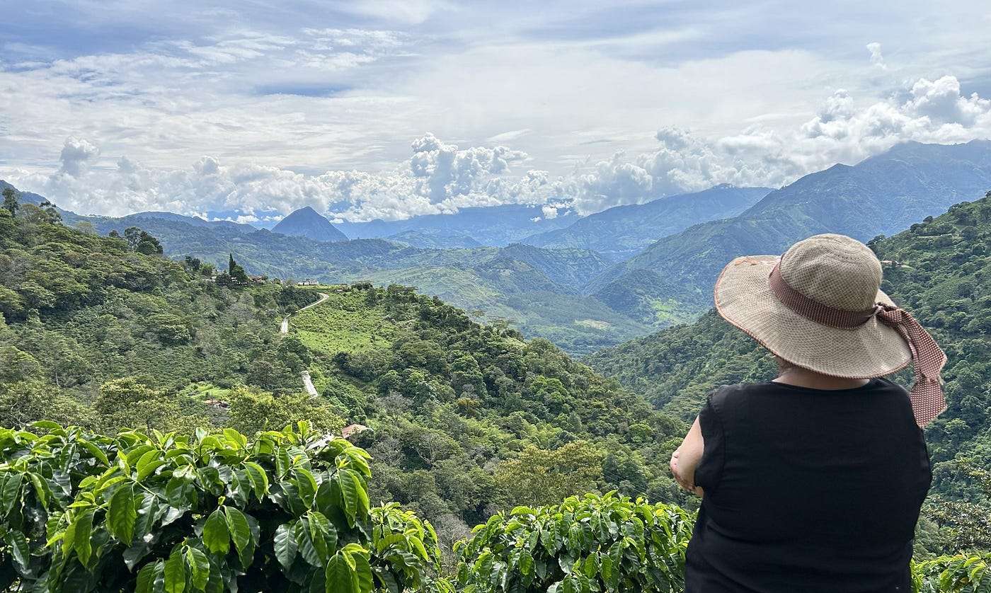 The remote sensing case for small-scale tropical agroforestry